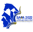SAVA2022
