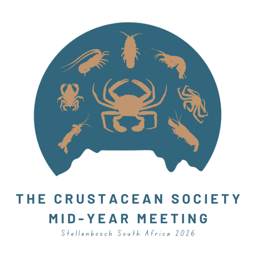 TCS Logo - PNG - Transparent Background